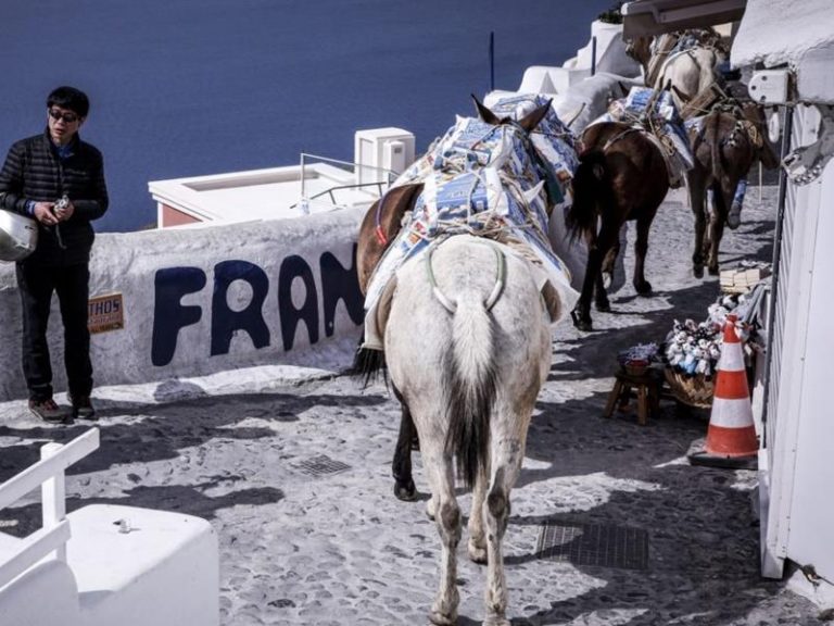 Mε υπουργική απόφαση μπήκε τέλος στην κακοποίηση γαϊδουριών