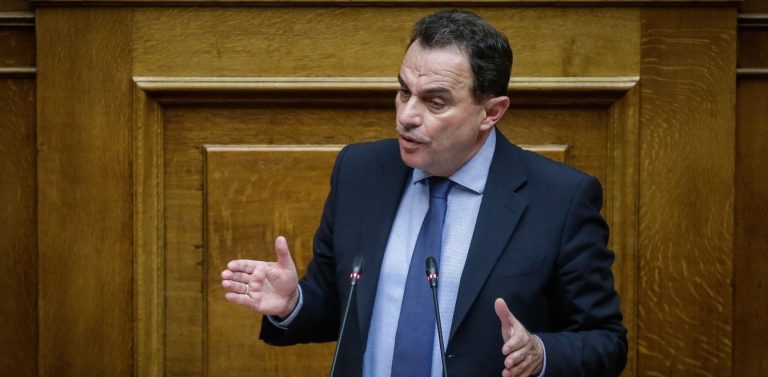 Γ. Γεωργαντάς: Για πρώτη φορά γίνεται τόσο σημαντική προσπάθεια στο μεταναστευτικό
