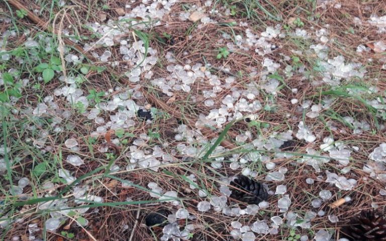 Ραγδαία αλλαγή του καιρού: Κατακλυσμός στη Χαλκιδική και χαλάζι στα Φάρσαλα